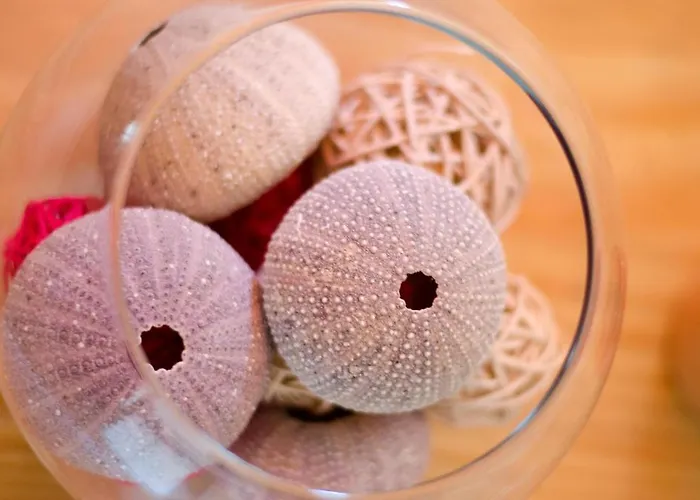 莱亚公寓 特罗吉尔